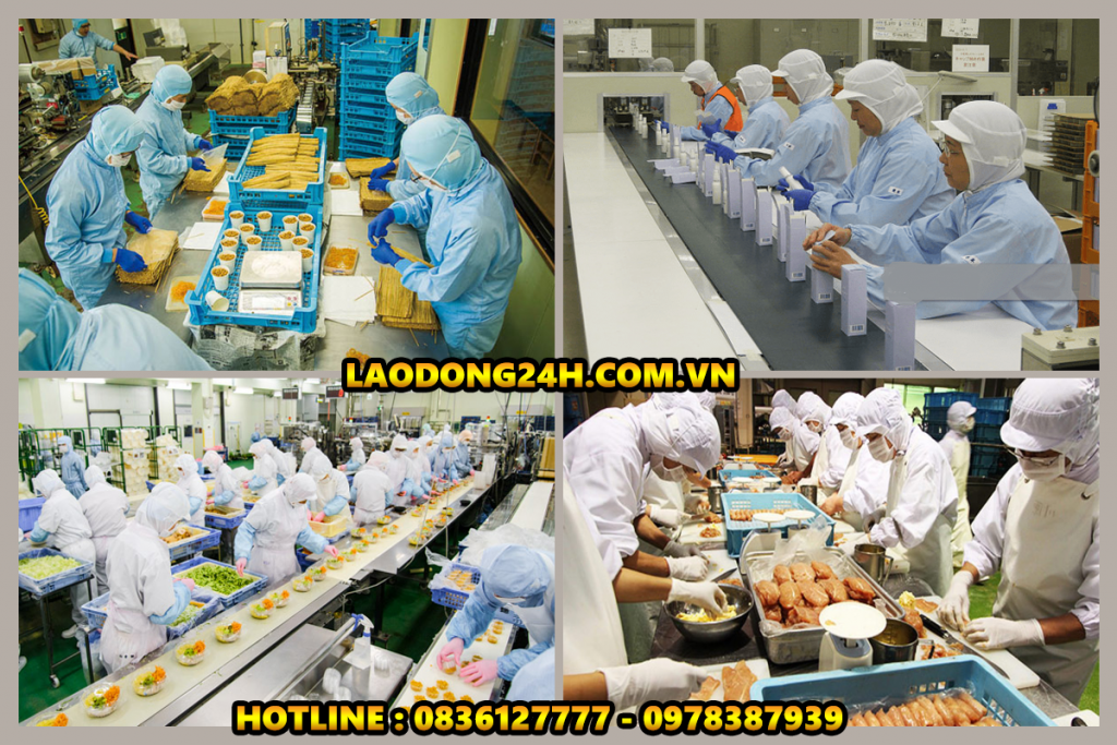 Xuất Khẩu Lao Động Nợ Phí