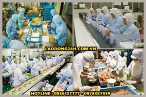 Xuất Khẩu Lao Động Nợ Phí