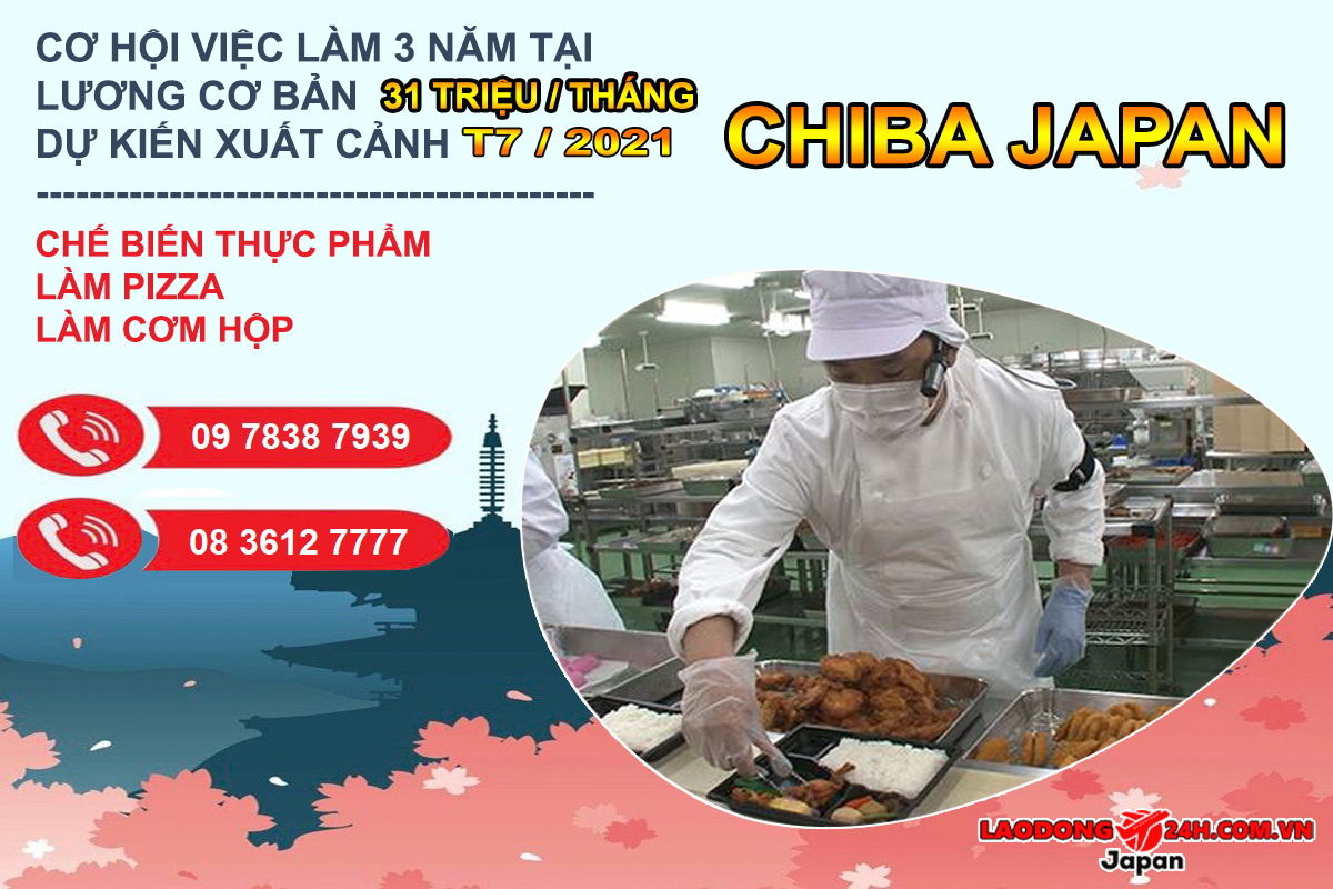 Chế biến thực phẩm – cơm hộp , pizza