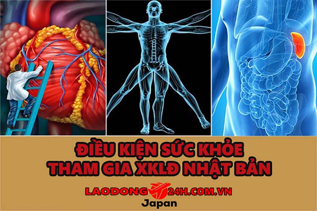 Xuất Khẩu Lao Động Nợ Phí