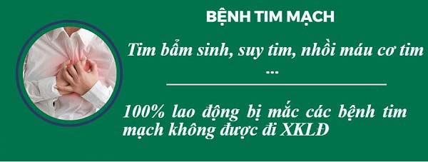 Xuất Khẩu Lao Động Nợ Phí