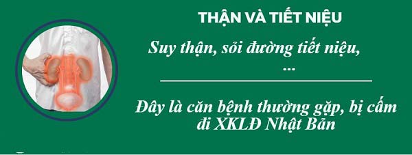 Xuất Khẩu Lao Động Nợ Phí