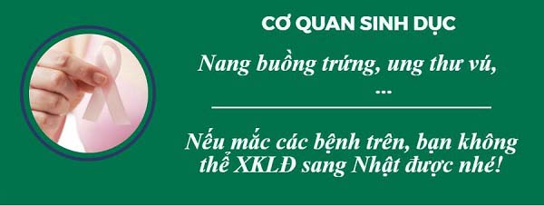 Xuất Khẩu Lao Động Nợ Phí