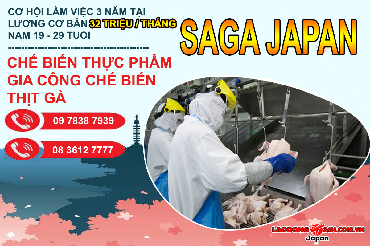 Gia công và chế biến thịt gà
