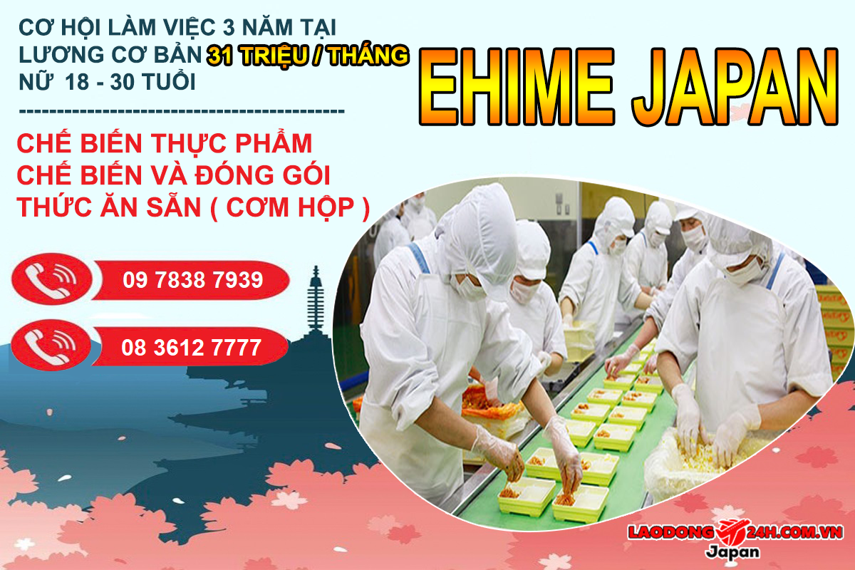 Chế biến và đóng gói cơm hộp