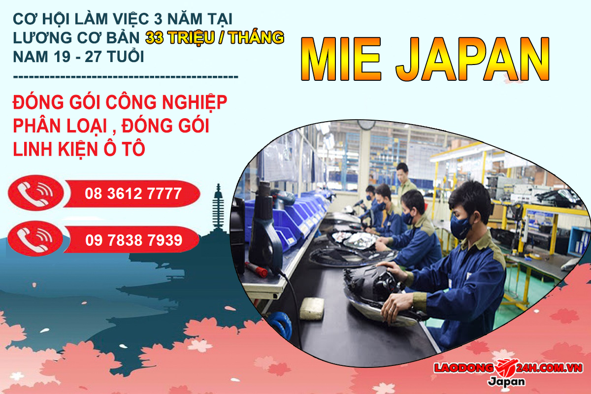 Phân loại và đóng gói linh kiện ô tô