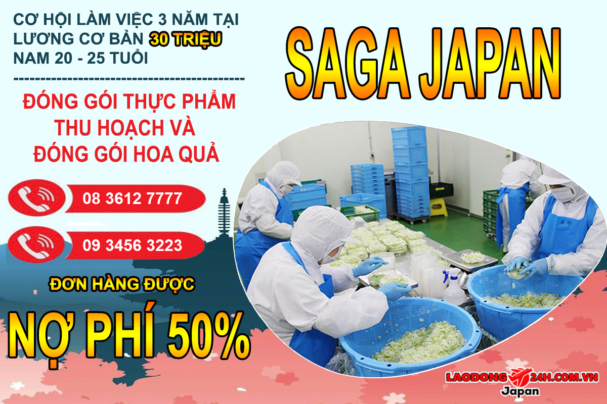 Đóng gói thực phẩm – Thu hoạch và đóng gói hoa quả
