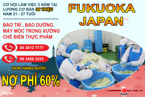 Xuất Khẩu Lao Động Nợ Phí