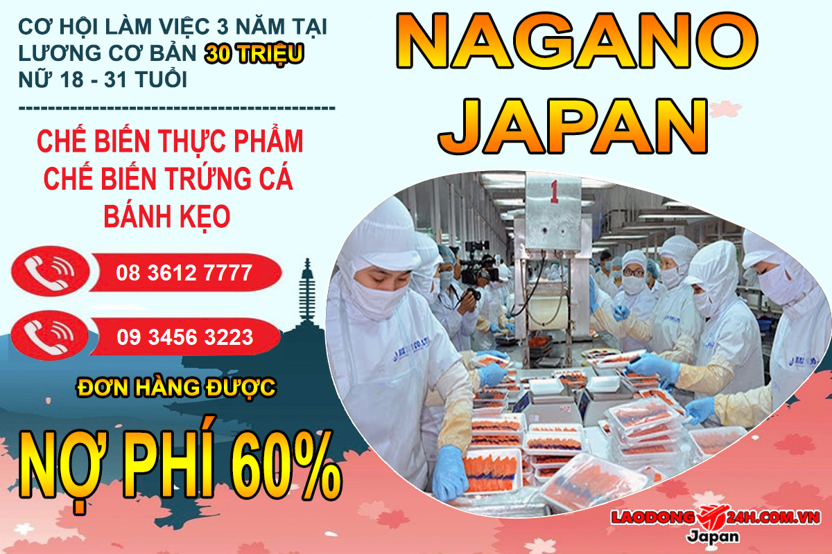 Chế biến trứng cá , bánh kẹo – Nợ phí 60%