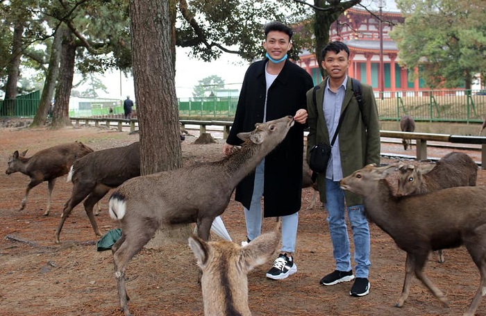 Xuất Khẩu Lao Động Nợ Phí