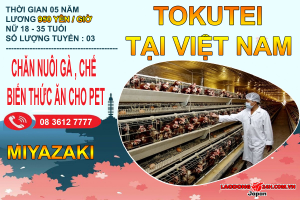 tokutei-chan-nuoi-gia-suc