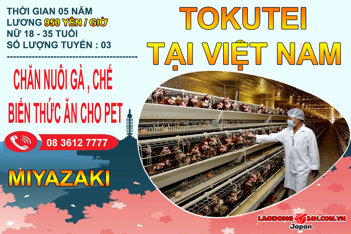 Tokutei Chăn nuôi Gia súc Miyazaki