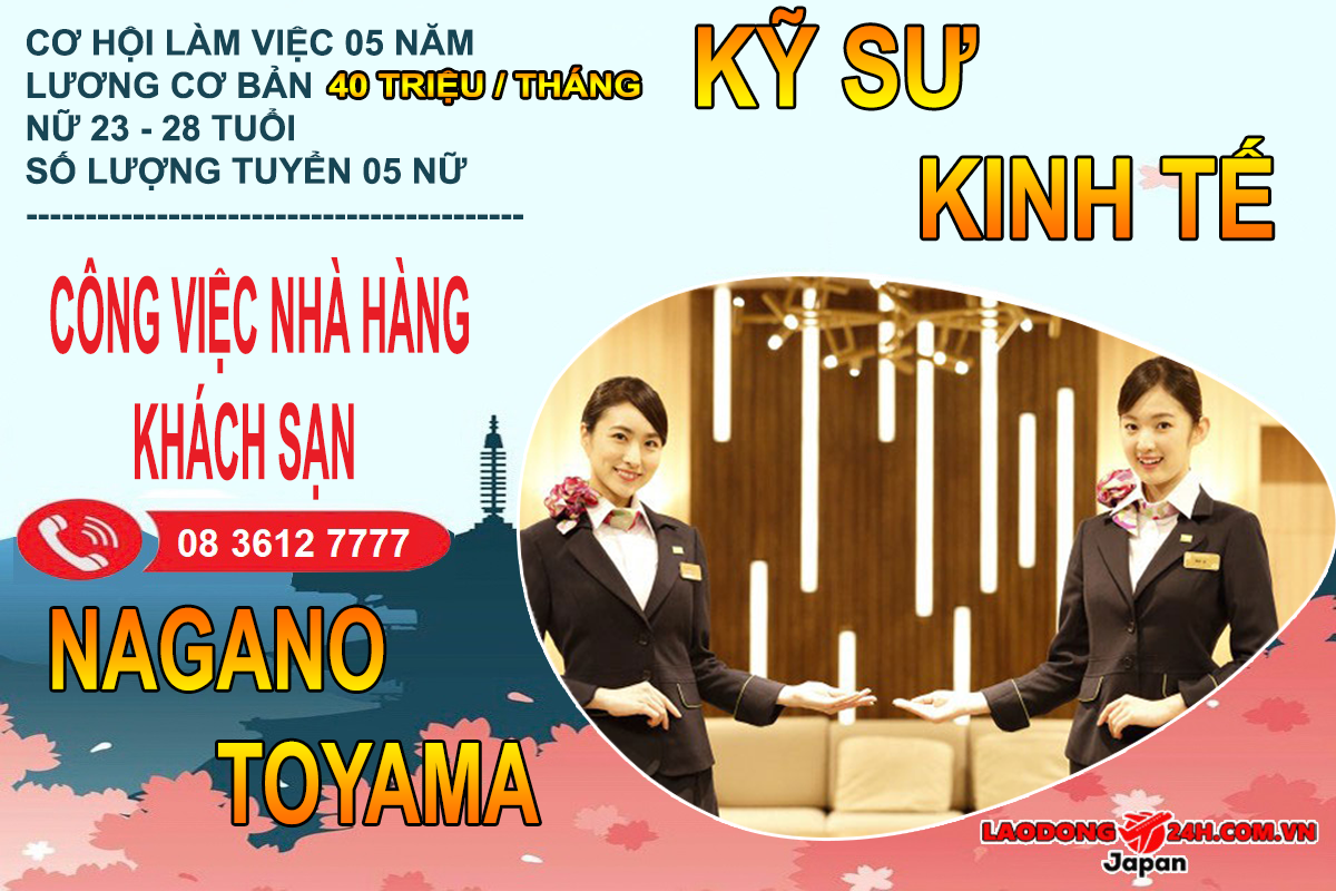 Kỹ Sư Kinh Tế Công Việc Khách Sạn