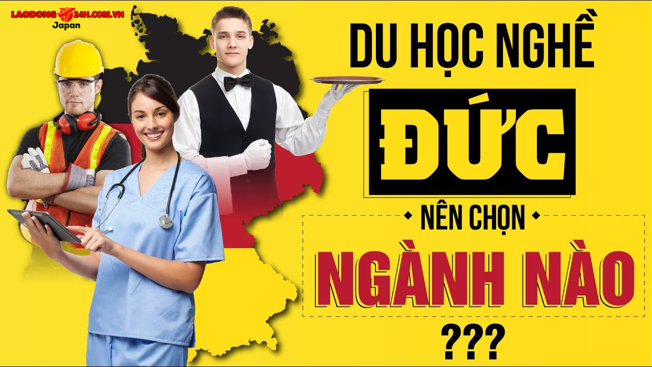 Những ngành nào theo học khi đi du học nghề Đức 2023 